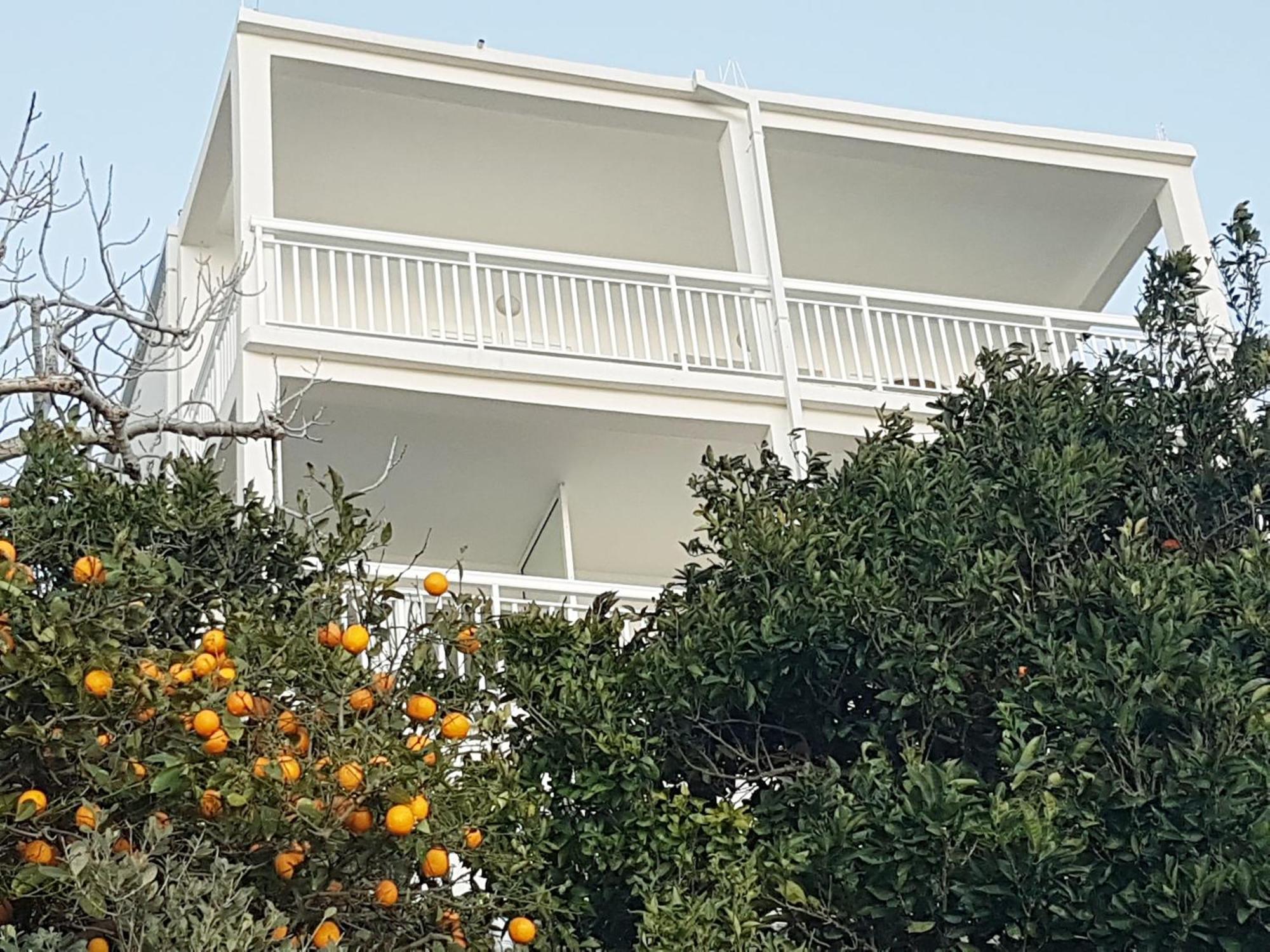 Apartmani Anda Živogošće Eksteriør bilde